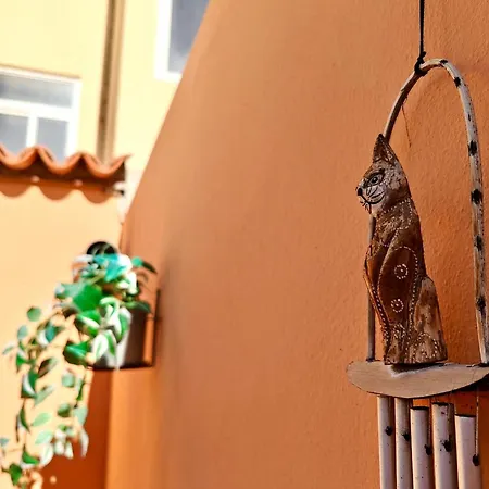 Casa Del Gato Caleta De Fuste