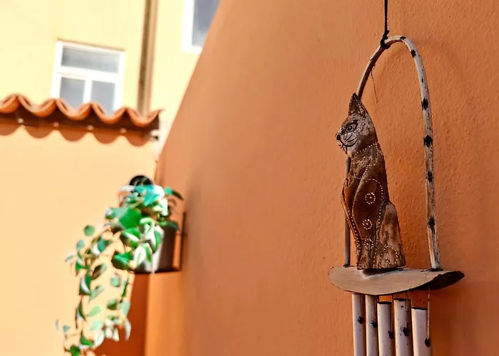 Casa Del Gato Caleta De Fuste